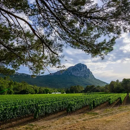 T2 Muses Apartamento Le Crès